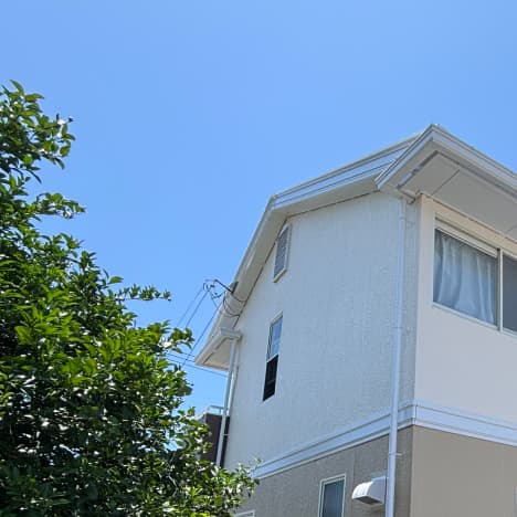 roof-image